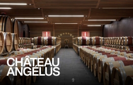 Moderne Weinkellerei mit Holzfässern in Reihen unter stilvollem Holzdeckensystem.