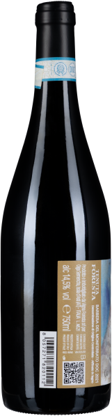 Schlanke, dunkle Weinflasche mit goldener Etikettenrückseite und blauem Siegel.