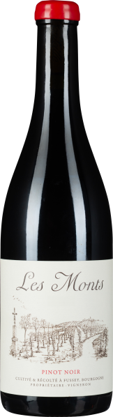 Flasche Rotwein mit rotem Verschluss und eleganter, gezeichneter Etikettenillustration.