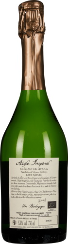 Grüne Sektflasche mit goldener Kapsel und detailliertem Etikett.