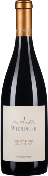 Flasche mit tiefrotem Wein, elegantes, schlichtes Etikett mit feiner Skyline-Grafik, goldener Flaschenhals.