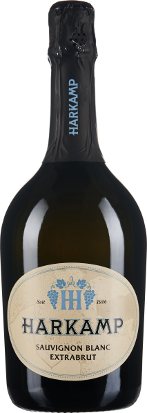 Eine dunkelgrüne Weinflasche mit einem cremefarbenen Etikett, das blaue Akzente und Verzierungen aufweist. Der Hals der Flasche ist mit schwarzer Folie überzogen.