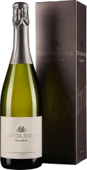 Flasche Schaumwein mit silberner Folie und elegante Verpackung in gedecktem Braunton.