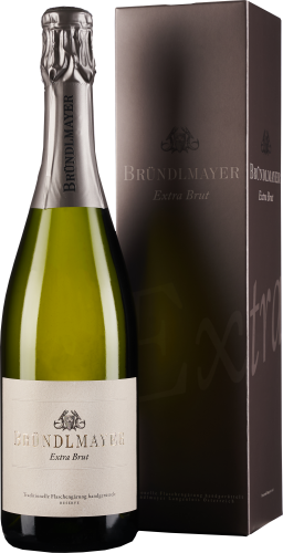 Flasche Schaumwein mit silberner Folie und elegante Verpackung in gedecktem Braunton.