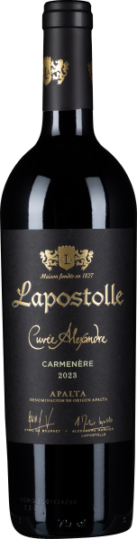 Schwarze Weinflasche mit goldenem Schriftzug auf elegantem Etikett.