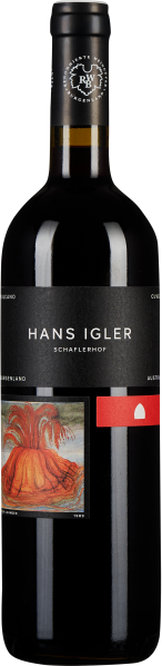 Flasche mit elegantem, dunklem Etikett, das ein auffälliges, farbenfrohes Kunstwerk zeigt. Der Flaschenhals ist mit einer schwarzen Kapsel bedeckt, die durch ein weißes Logo akzentuiert wird.