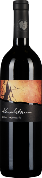 Dunkle Weinflasche mit stilvollem Etikett, das eine abstrakte, herbstliche Landschaft in warmen Farbtönen zeigt.