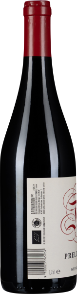 Dunkle Weinflasche mit rotem Hals und elegantem, bordeauxfarbenem Etikettendesign.