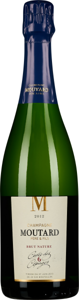 Grüne Champagnerflasche mit dunkelblauem Folienverschluss und elegantem Etikett.