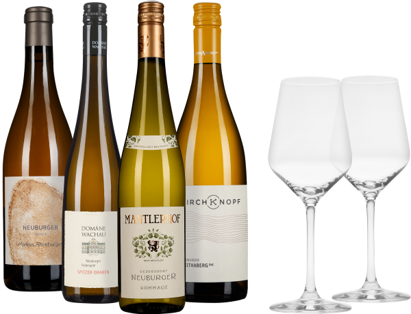 Weinset mit fünf Flaschen, dekorativen Etiketten und zwei eleganten Weingläsern.