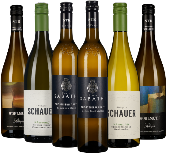 Sechser-Packung Weine, darunter Flaschen mit grünen, gelben und schwarzen Etiketten, die kunstvoll gestaltet sind. Sie zeigen stilvolle Schriftzüge und Embleme verschiedener Weingüter aus der Südsteiermark.