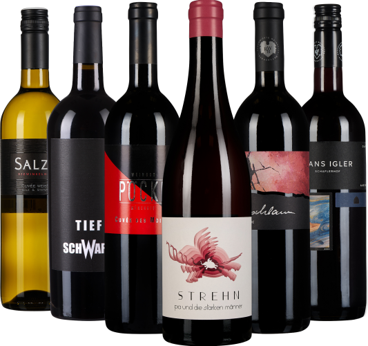 Ein Set aus sechs Weinflaschen mit unterschiedlich gestalteten Etiketten in einer Reihe. Die Flaschen variieren in Farbe und Design der Etiketten, die von schlicht bis künstlerisch reichen. Eine Mischung aus Rot- und Weißweinen mit farbigen Akzenten auf d