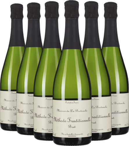 Sechserpack grüne Sektflaschen mit schwarzen Kapseln und hellen Etiketten.