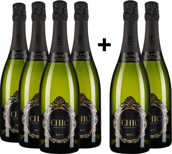 Sechs elegante Champagnerflaschen mit schwarzem und goldfarbenem Etikett.