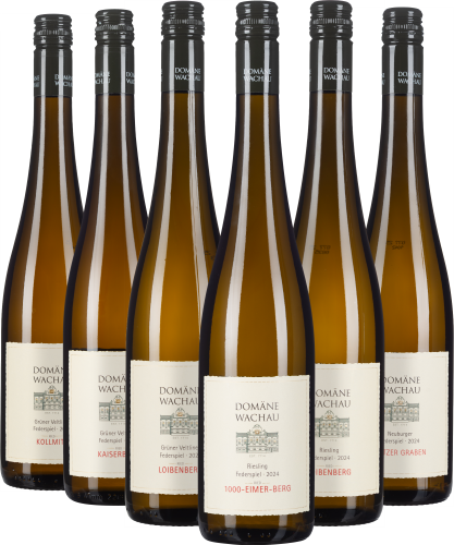 Sechs elegante Weinflaschen mit weißen Etiketten und schwarzen Schraubverschlüssen.