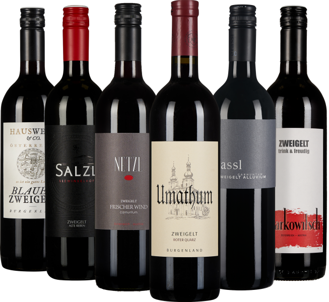 Sechs Flaschen Rotwein mit unterschiedlichen Etiketten. Die Designs variieren von klassisch mit künstlerischen Elementen bis modern mit klaren Linien und Schriftarten, größtenteils in Rot-, Schwarz- und Beigetönen.