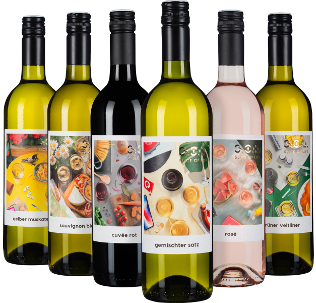 Sechs bunte Weinflaschen mit künstlerisch gestalteten Etiketten.