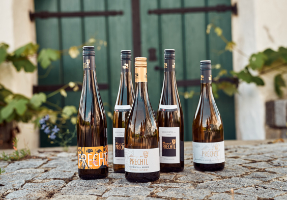 123 Prechtl 2024 Feichtinger