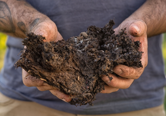 1701 Franciacorta Humus 1