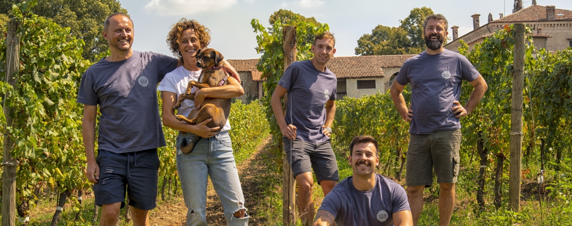 Gruppe von fünf Personen mit Hund in einem sonnigen Weinberg.