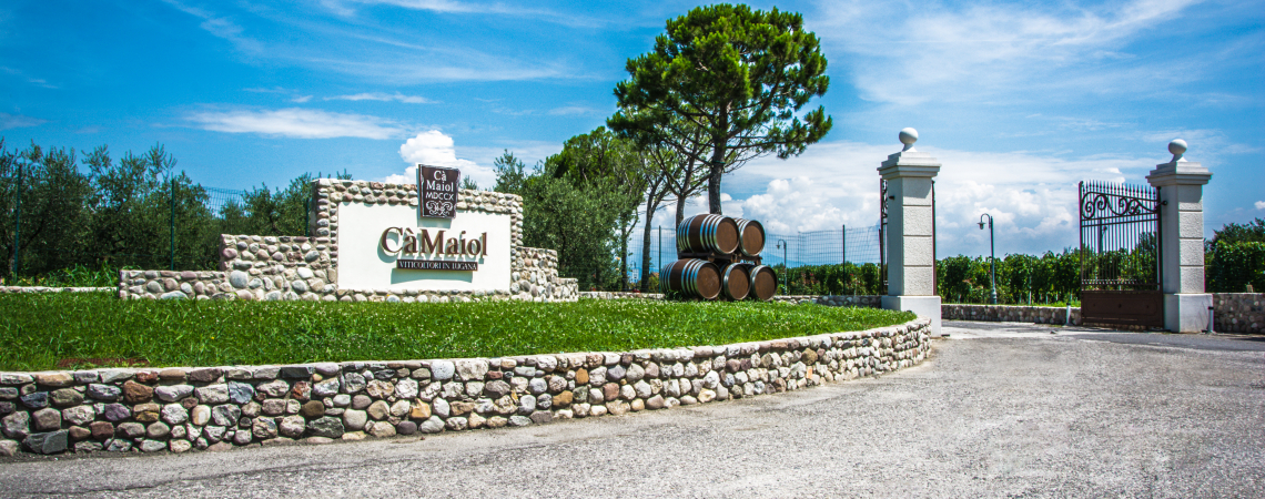 Eingang eines Weinguts mit Steinschild, Weinfässern und blühender Landschaft.