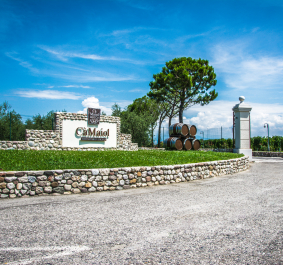 Eingang eines Weinguts mit Steinschild, Weinfässern und blühender Landschaft.