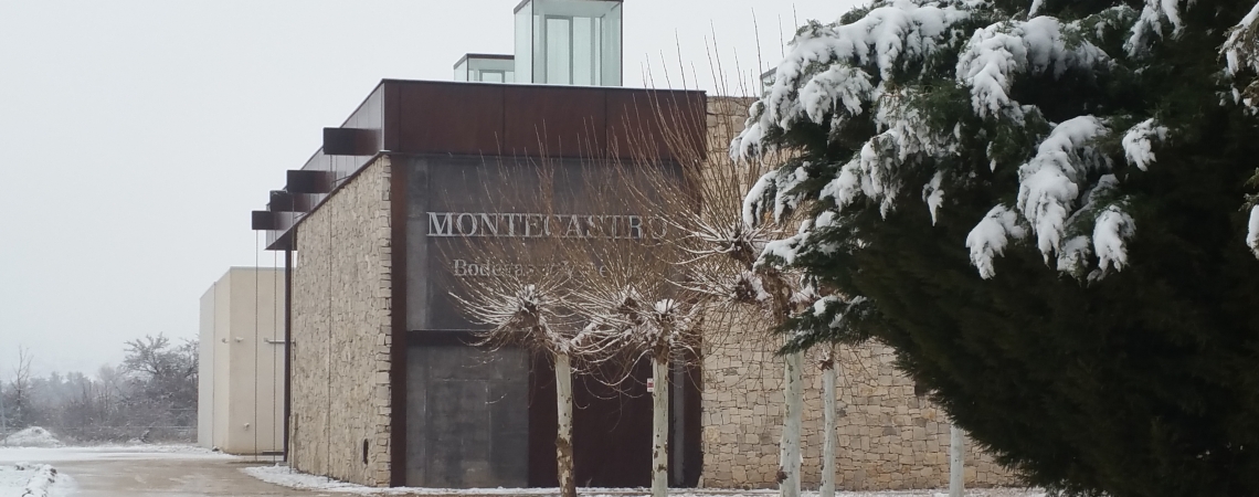Modernes Steingebäude im Winter mit schneebedeckten Bäumen und Weg.