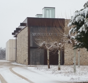 Modernes Steingebäude im Winter mit schneebedeckten Bäumen und Weg.