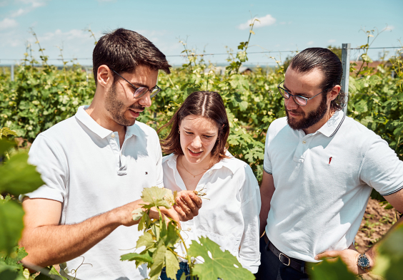 42 Prechtl 2024 Feichtinger