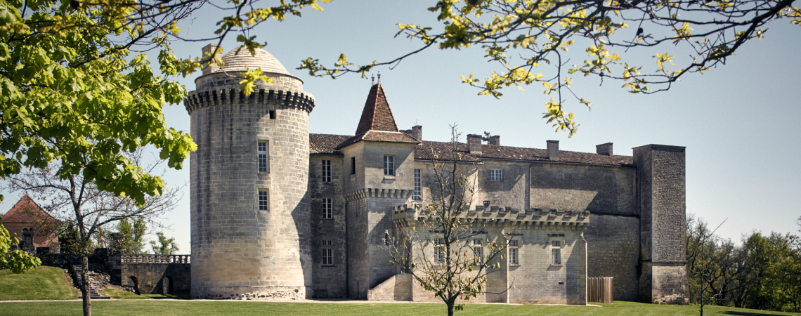 Historisches Schloss mit großem Turm, umgeben von gepflegtem Rasen und blühenden Bäumen.