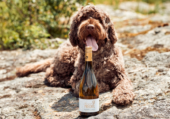 52 Prechtl 2024 Feichtinger Kopie