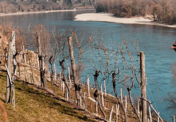 78 domaene wachau 2022 feichtinger