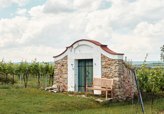 99 Prechtl 2024 Feichtinger