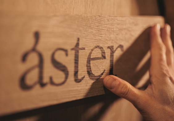 ASTER 2.jpg.2000x0 q85 crop