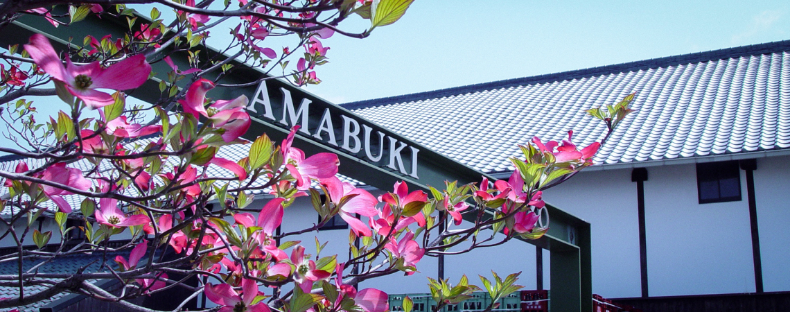 Blühender Baum mit rosa Blüten vor traditionellem Gebäude und Tor.