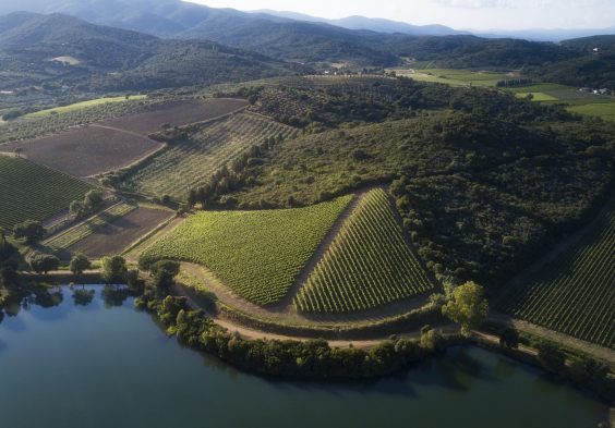 Antinori Le Mortelle 4