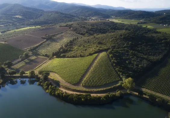 Antinori Le Mortelle 4
