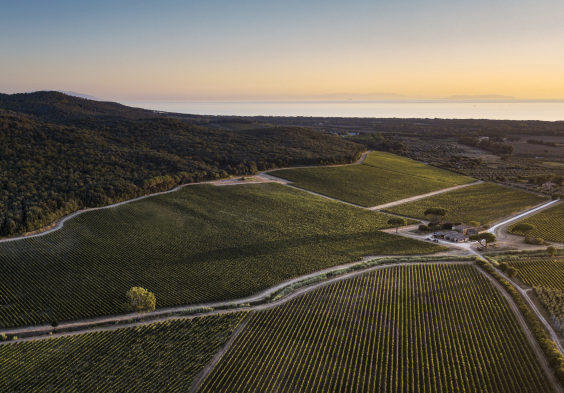 Antinori Tenuta Guado al Tasso 2