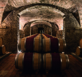 Stimmungsvolle Weinkellerei mit Holzfässern und beleuchtetem Ziegelgewölbe.