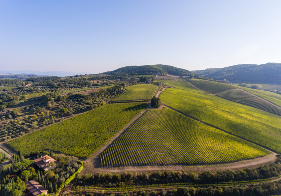 Antinori tenuta tignanello 3