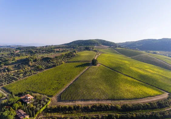 Antinori tenuta tignanello 3