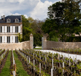 Weinberg mit historischem Herrenhaus im Hintergrund, umgeben von Bäumen und Steinmauern.