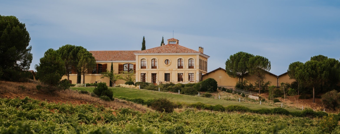 Großes, elegantes Landhaus umgeben von grünen Weinbergen und Bäumen.