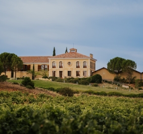 Großes, elegantes Landhaus umgeben von grünen Weinbergen und Bäumen.