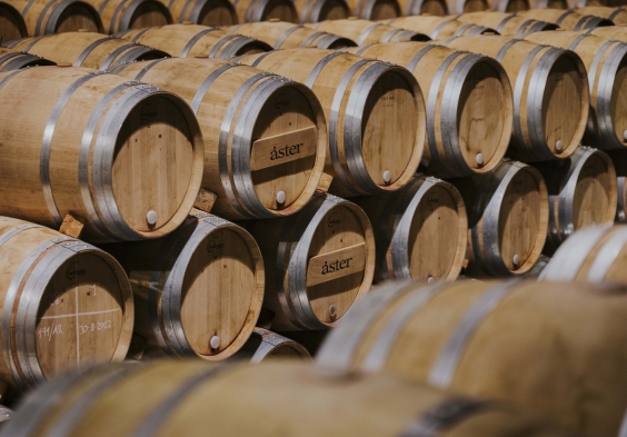 Aster NAVE DE BARRICAS.jpg.2000x0 q85 crop