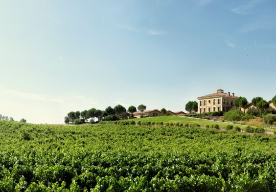 Aster exterior con vina 6.jpg.2000x0 q85 crop