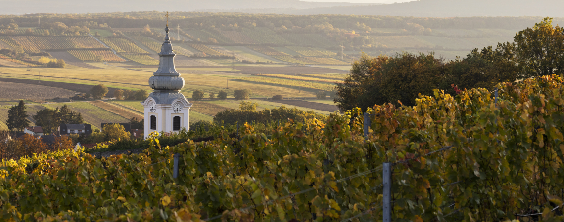 Barockkirche in herbstlichen Weinbergen mit weitem Blick auf die Landschaft.