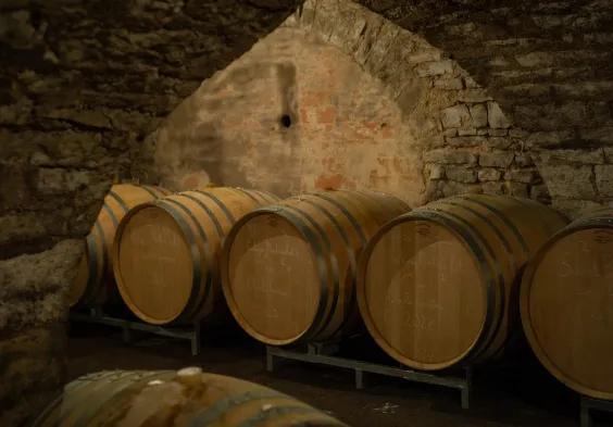 Barolet (14)