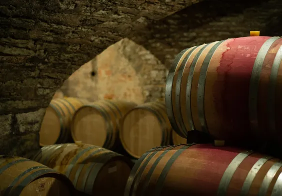 Barolet (15)