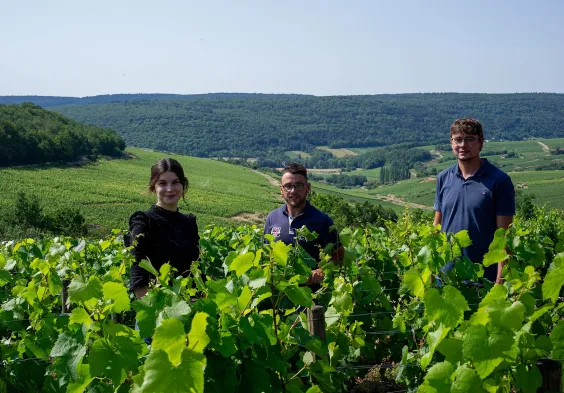 Barolet (22)